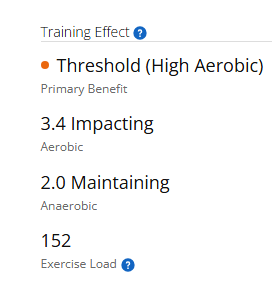 A screenshot from the Garmin Connect app showing a Training Effect of 3.8 Aerobic and 2.0 Anaerobic.