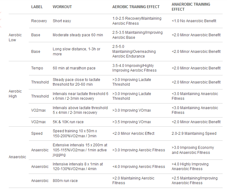 Detailed reference chart of Garmin Load Focus and Firstbeat Training Effect scores.