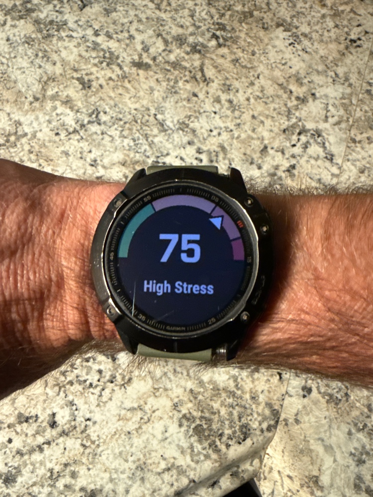 Physiology First HRV Stress test score of 75 showing high sympathetic strain on a Garmin wearable.