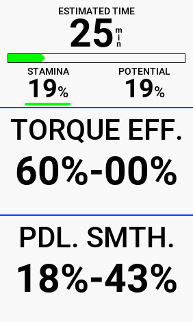 A close-up photograph of a Garmin cycling computer showing actual stamina at 19% and stamina potential at 84% during an indoor interval training session.