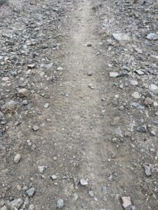 Decomposed granite singletrack trail on Peavine Mountain.