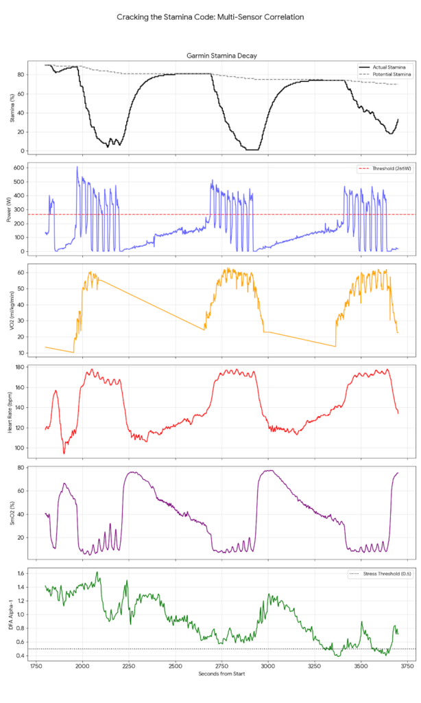 A multi-panel physiological graph showing the synchronized decline of Garmin Stamina alongside Power, VO2, Heart Rate, SmO2, and DFA Alpha-1.