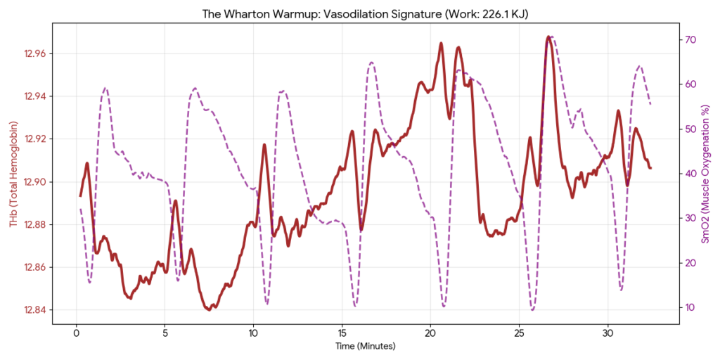 Physiological graph of the Wharton Warmup showing THb and SmO2 rising during recovery periods, signaling successful vasodilation.