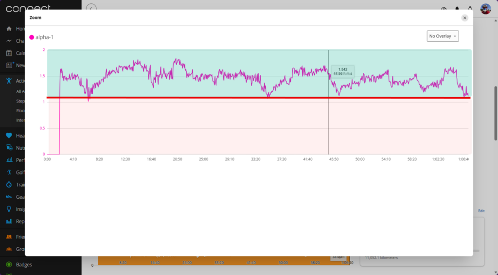 DFA‑α1 graph showing autonomic stability above 1.17 for nearly the entire base ride.