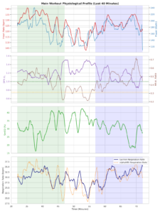 Four-panel stacked line chart tracking the final 40 minutes of an endurance cycling workout. Panels display smoothed timelines for heart rate versus power, DFA alpha-1 versus RR-a1 ratio, left quadriceps muscle oxygenation percent, and Garmin enhanced respiration rate versus alphaHRV respiration rate.