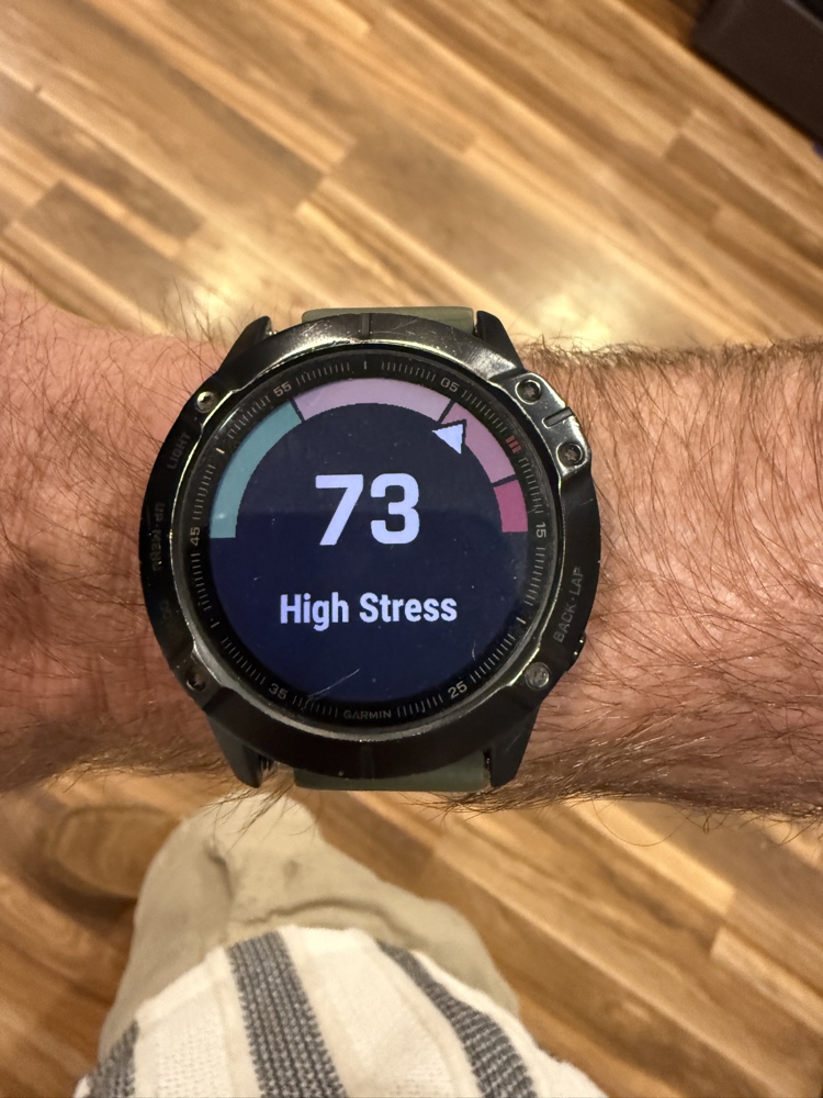 Garmin smartwatch real-time stress widget display indicating high stress prior to validating real-time Garmin Performance Condition tracking values.