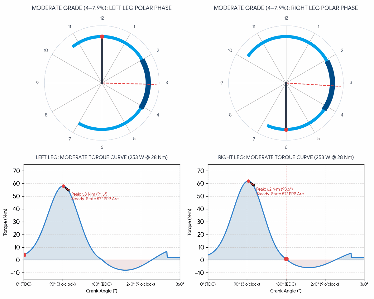 Animated GIF showing a bicycle crank arm sweeping across moderate grade polar clock faces in synchronization with dual-sided linear torque curves displaying 62 Nm peak force.